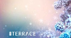 Christmas at The Terrace